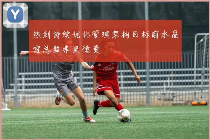 热刺持续优化管理架构目标前水晶宫总监弗里德曼