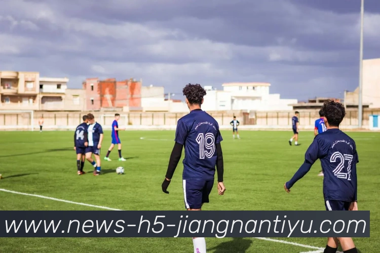 江南体育平台生态图